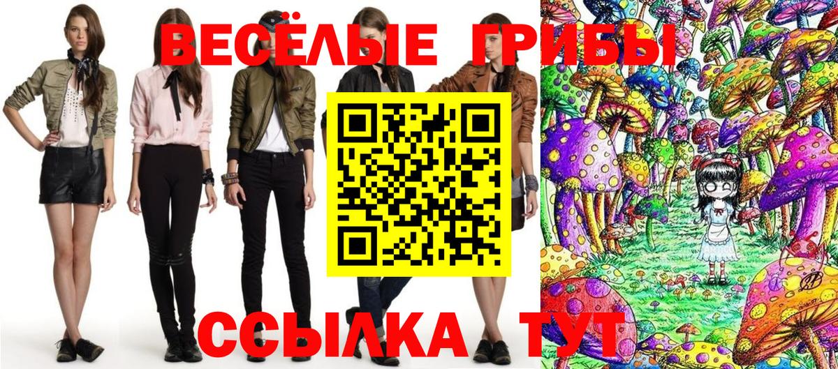 Псилоцибиновые грибы Psilocybe  Вход с VPN  Касимов 